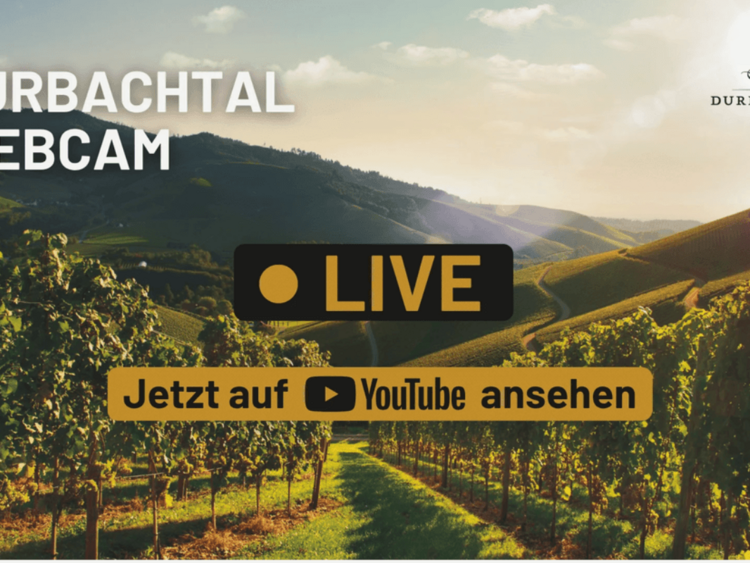 Webcam Durbach
