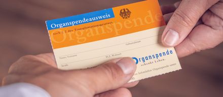 Organspendeausweis Organspende rettet Leben