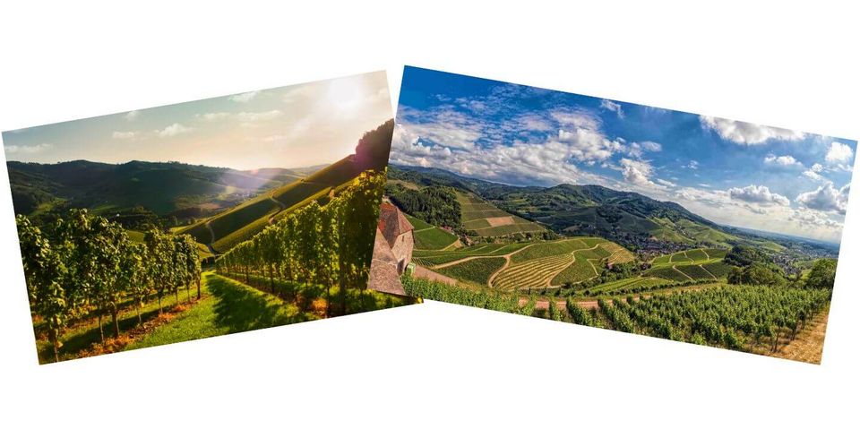 Wanderung mit dem Wanderführer Helmut Rößler