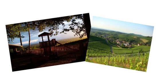 Wanderung Wolfsgrube