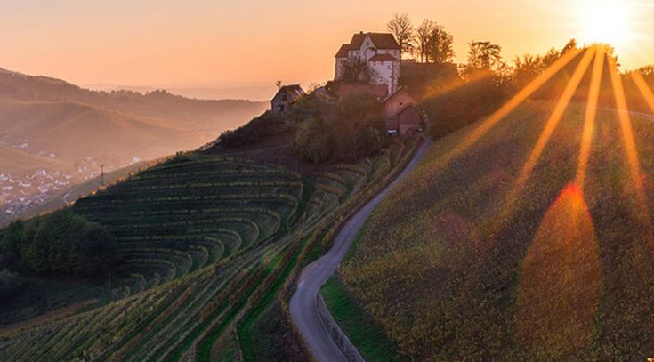 Sonne über Weinbergen