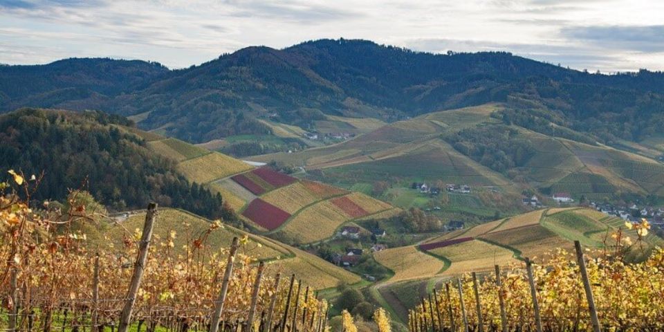 Wanderung mit dem Wanderführer Helmut Rößler