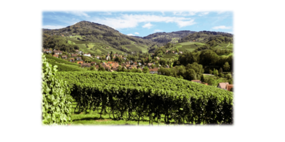 Wanderung