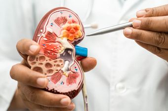 Nierentransplantation