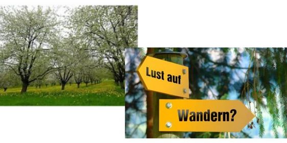 Wanderung Fuchsgründle
