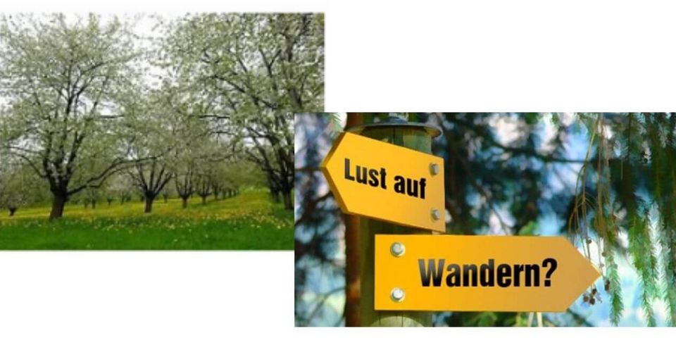 Wanderung mit dem Wanderführer Helmut Rößler