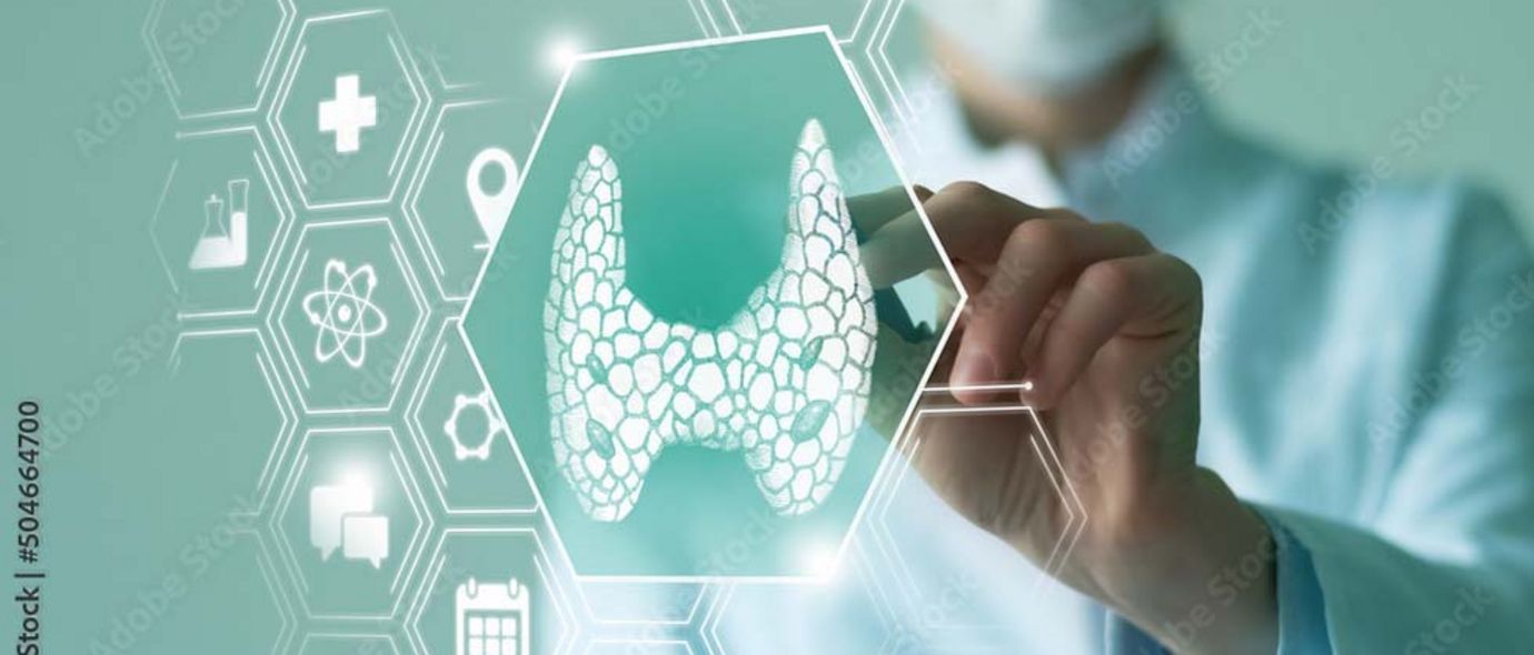 Endokrinologie